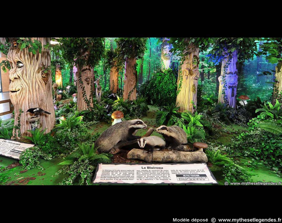 Exhibition The Enchanted Forest (134) Badgers